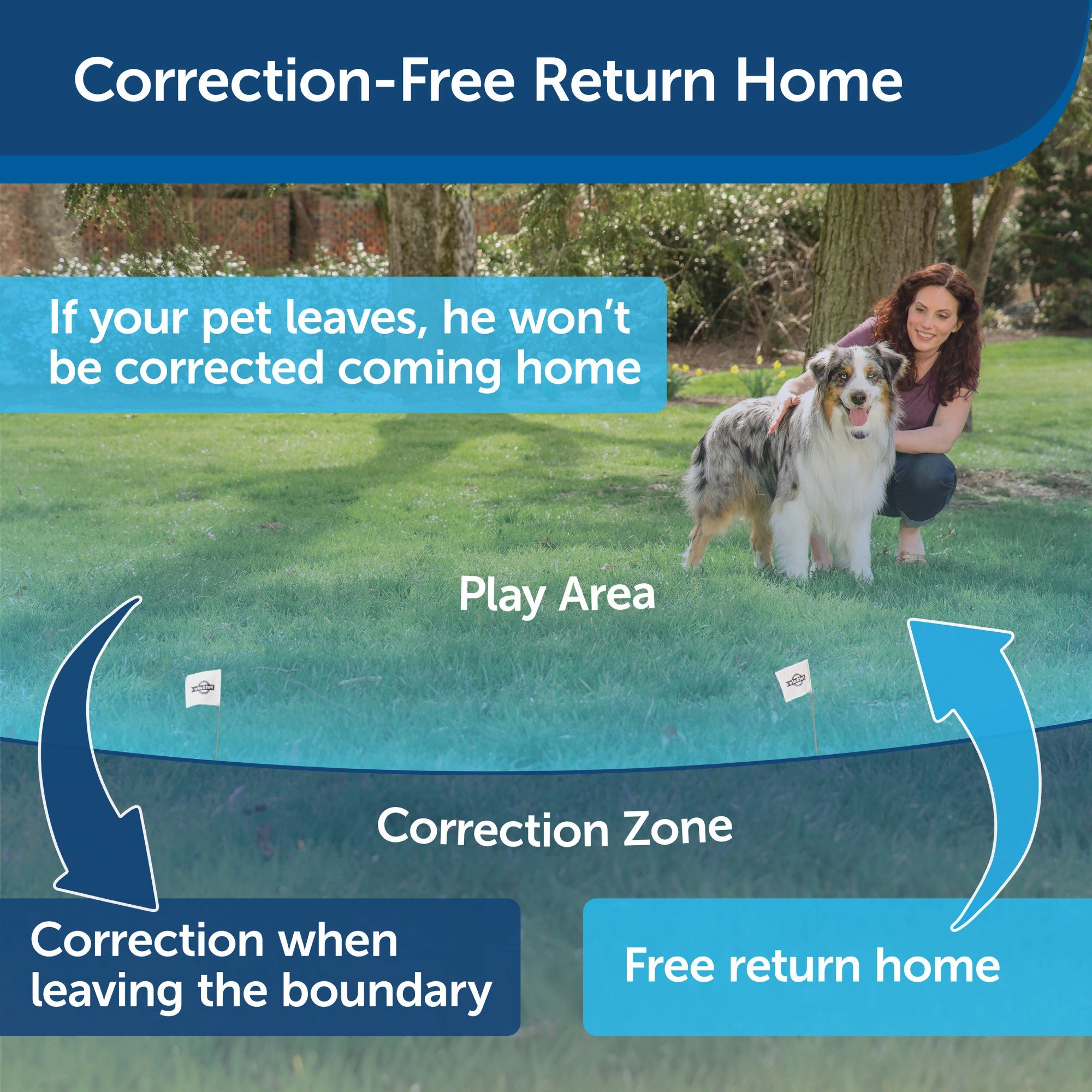 PetSafe Wireless Pet Containment System Receiver Collar Only for Dogs and Cats over 5 lb., Waterproof with Tone and Static Correction - From The Parent Company of INVISIBLE FENCE Brand